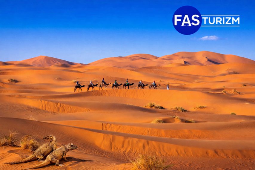 Fas Sahra &Ccedil;&ouml;l&uuml; Merzouga kumullarında deve kervanı ile yapılan &ccedil;&ouml;l turu ve kum &uuml;zerinde kertenkeleler